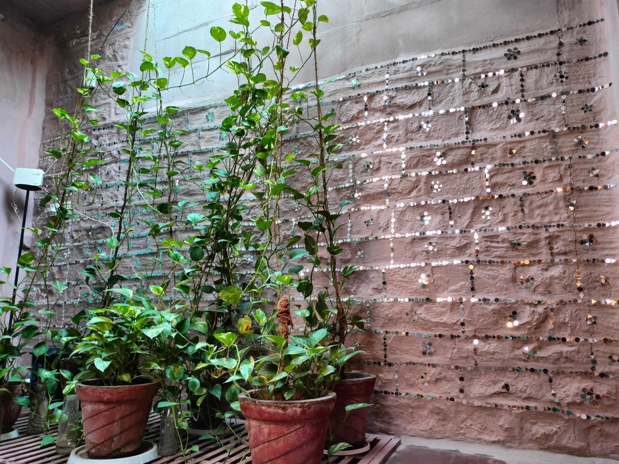 Hotel Casa De Jodhpur Džódhpur Exteriér fotografie